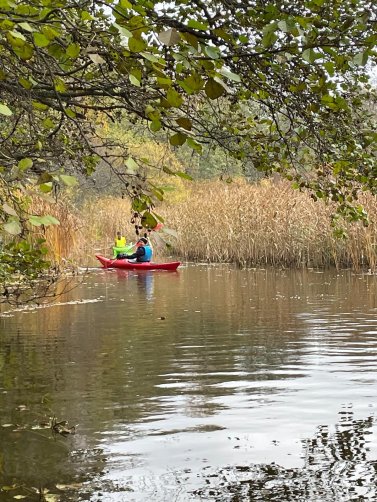 WhatsApp Image 2026 03 04 at 15.26.22 1